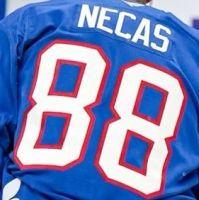 Profilový obrázek uživatele