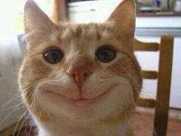 Profilový obrázek uživatele